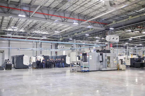 特別推薦 利納馬招聘等你來